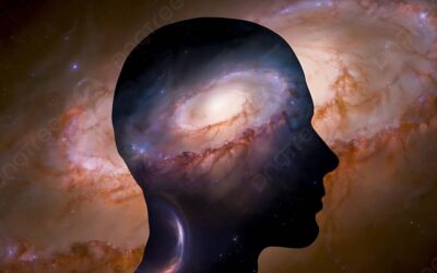 Miscellanea Ermetica