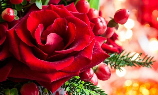 Have Yourself a Merry Little Christmas