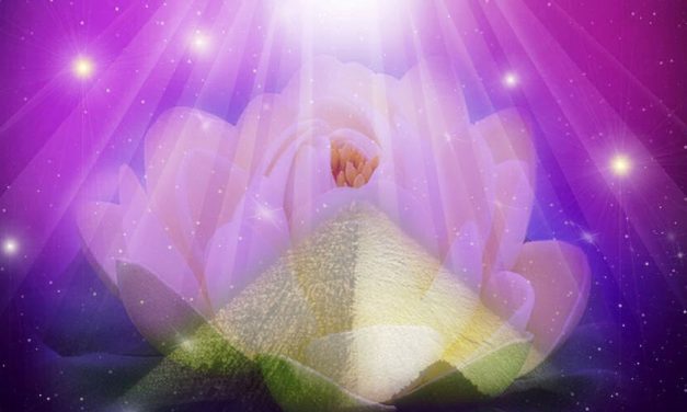 Coroncina d’Amore – Mario Krejis