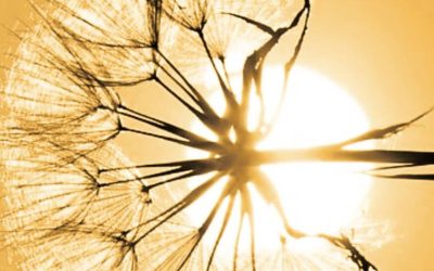 Ermetismo, Scienza degli Dei