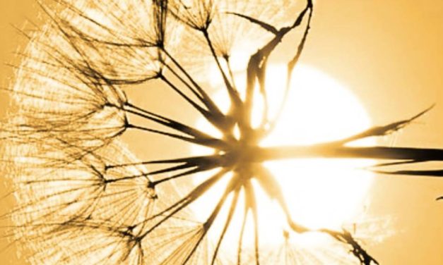 Ermetismo, Scienza degli Dei