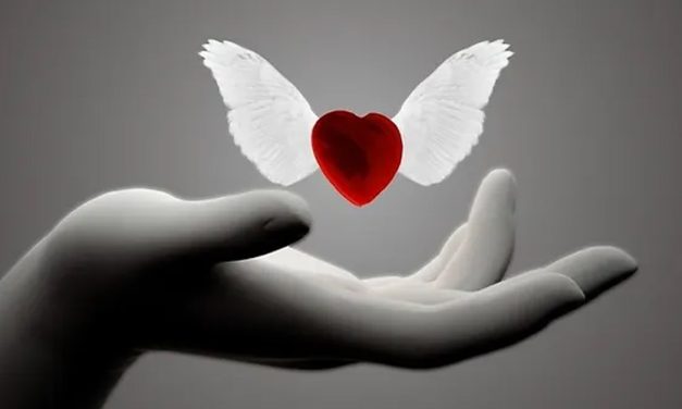 Ai lettori di Ermetismo – Mario Krejis