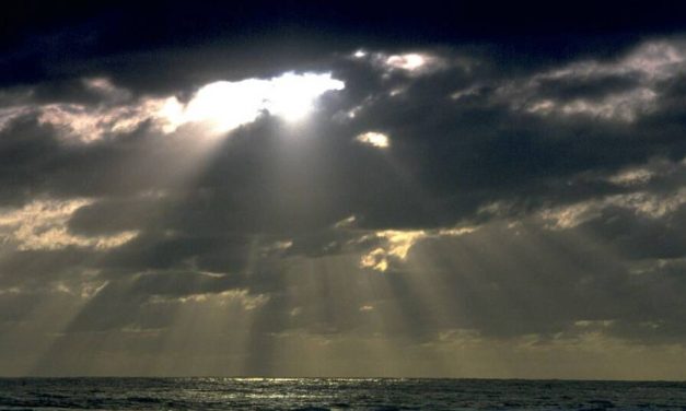 Ad Una Madre Disperata