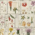 Dall’Oikos al Logos tramite Psiche