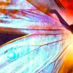 La Trasformazione Alchemica